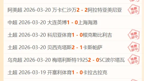 托莫里本赛季两度被米兰教练弃用，转折始于抢点染红争议